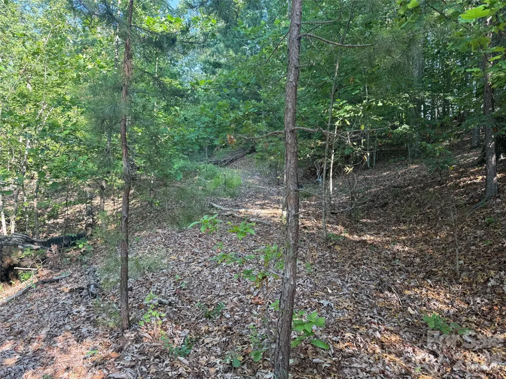 V/L Scenic Vista Drive #332/333 Nebo, NC 28761
