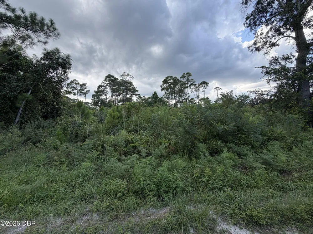 Central Parkway Deland, FL 32724