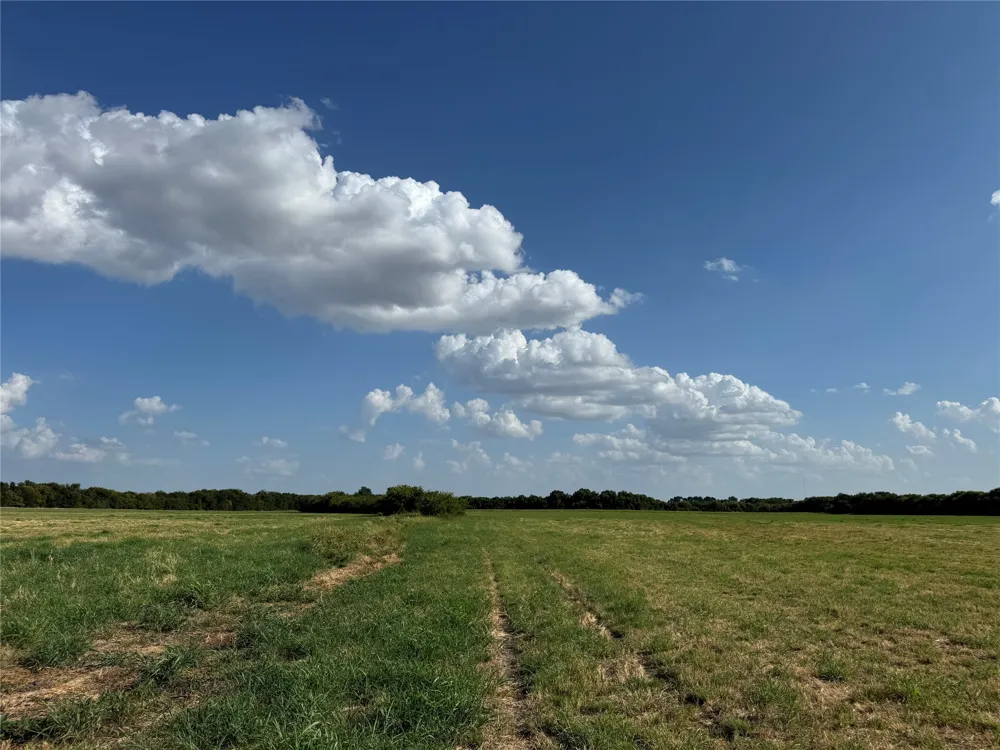 County Rd 3700 Leonard, TX 75452