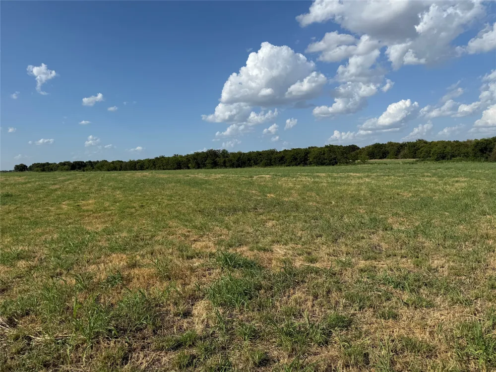 County Rd 3700 Leonard, TX 75452