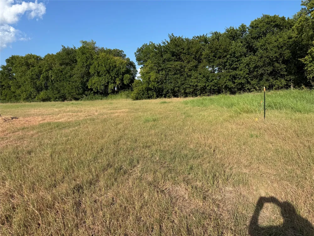 County Rd 3700 Leonard, TX 75452
