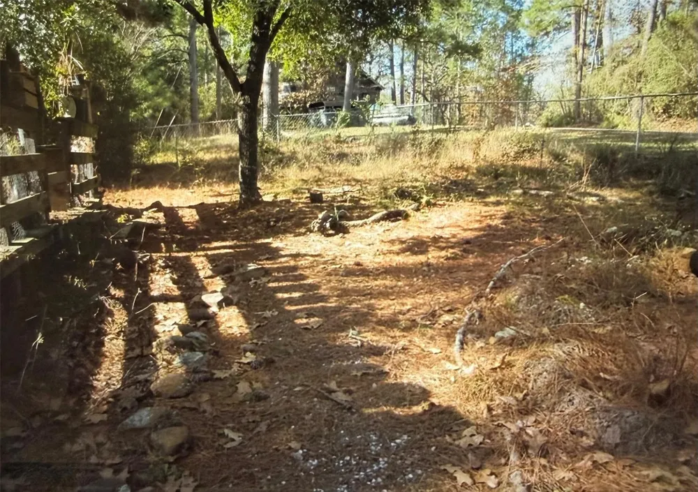 359 Dogwood Onalaska, TX 77360