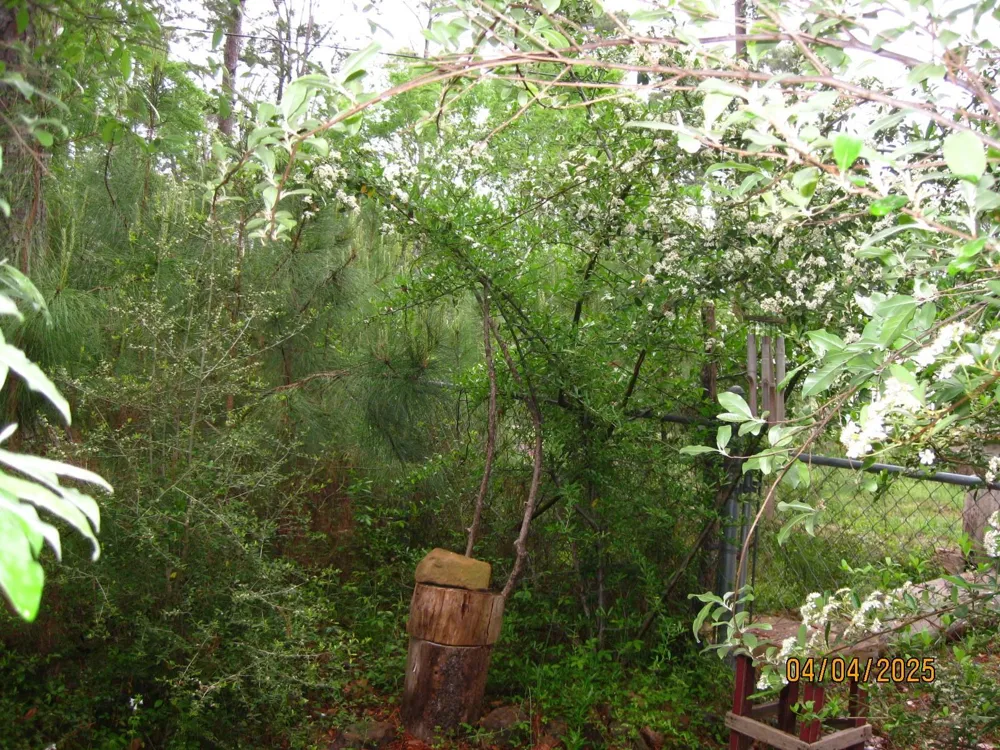 359 Dogwood Onalaska, TX 77360