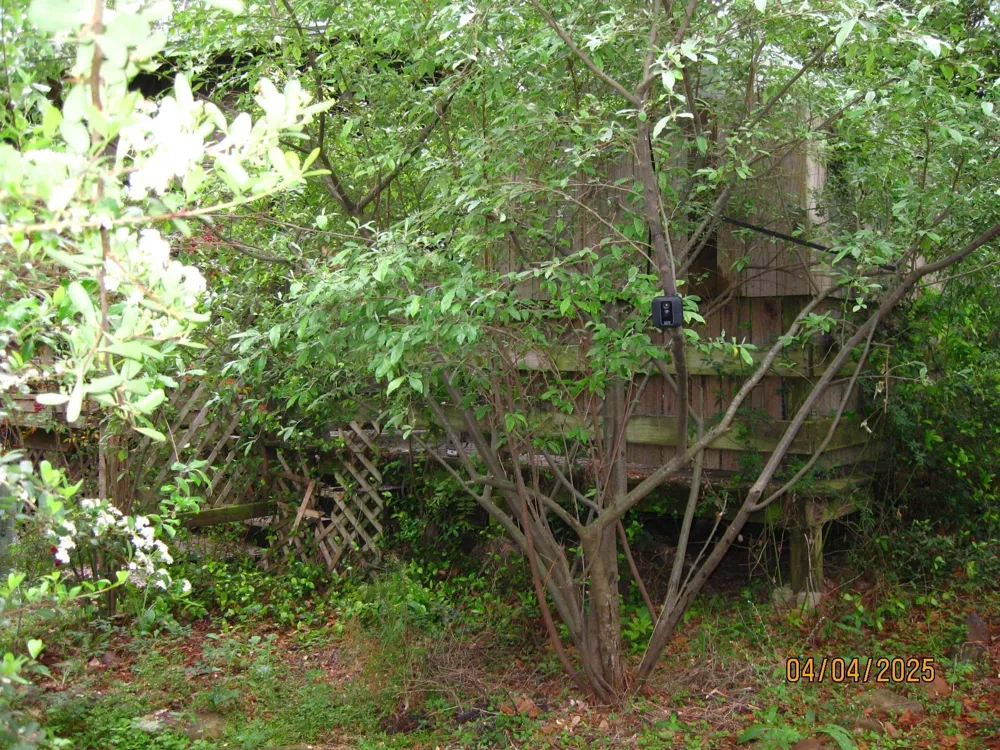 359 Dogwood Onalaska, TX 77360