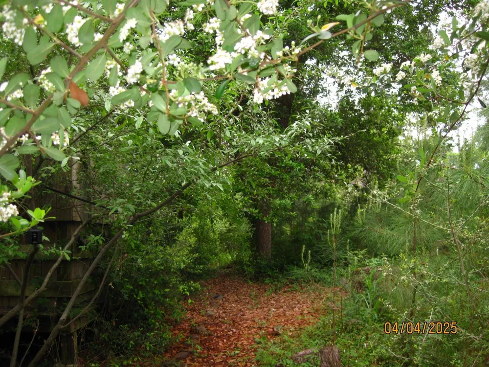 359 Dogwood Onalaska, TX 77360
