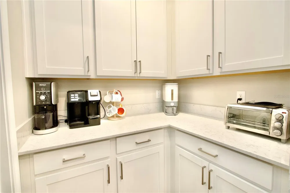 9723 CONEFLOWER COURT Land O Lakes, FL 34637