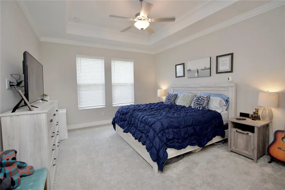 9723 CONEFLOWER COURT Land O Lakes, FL 34637