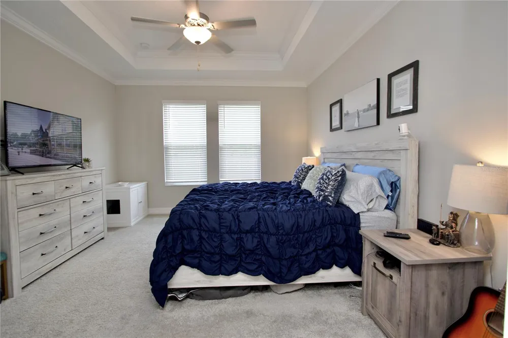 9723 CONEFLOWER COURT Land O Lakes, FL 34637