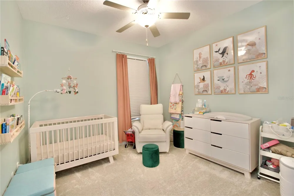 9723 CONEFLOWER COURT Land O Lakes, FL 34637