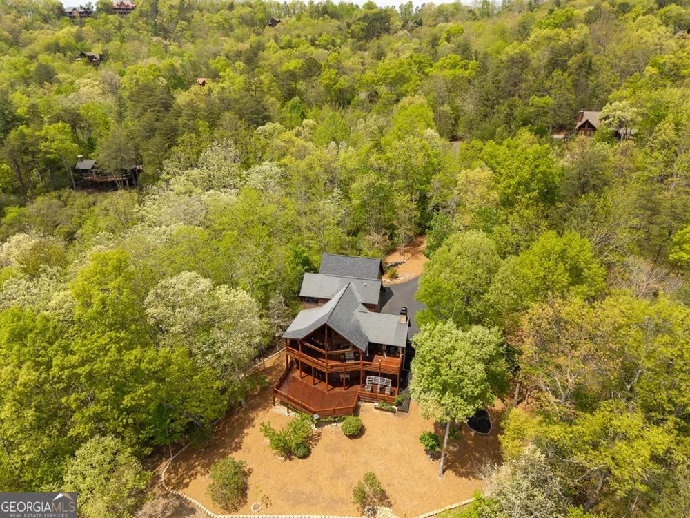 339 Birdseye VW Blue Ridge, GA 30513