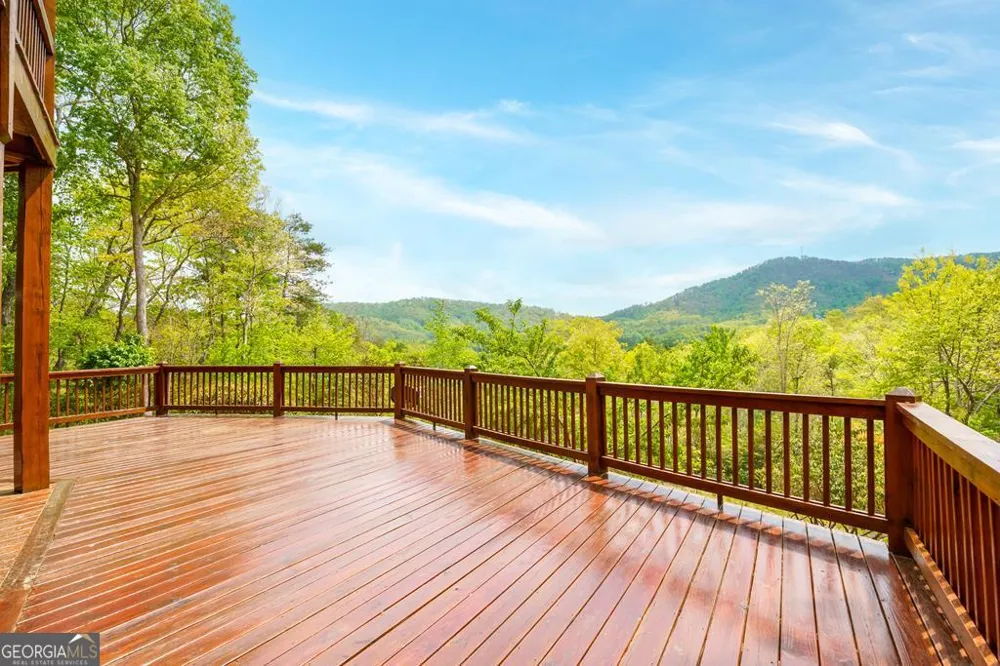 339 Birdseye VW Blue Ridge, GA 30513
