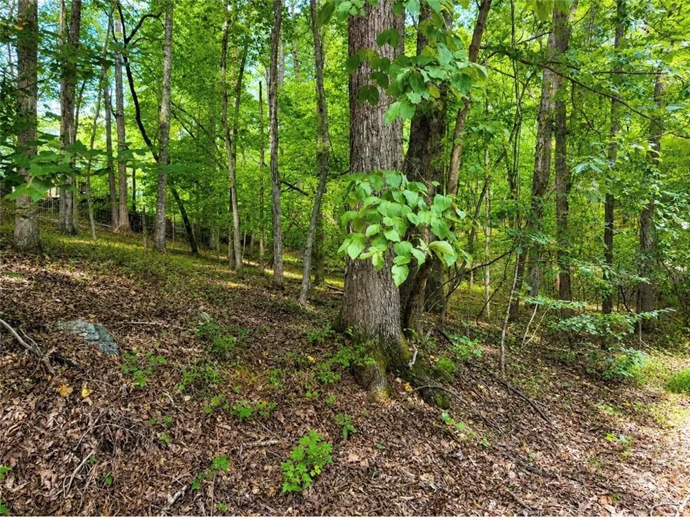 6195 Belle Meade Drive Villa Rica, GA 30180