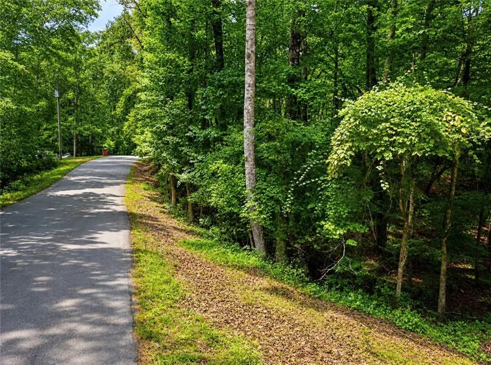 6195 Belle Meade Drive Villa Rica, GA 30180