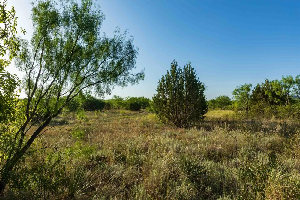 US-83 Ovalo, TX 79541