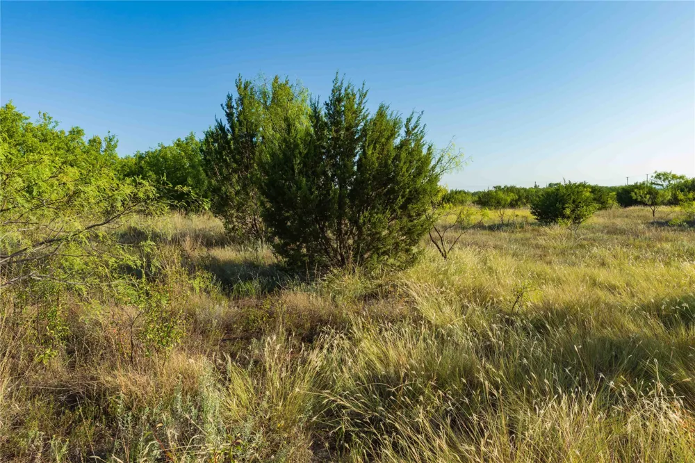 US-83 Ovalo, TX 79541