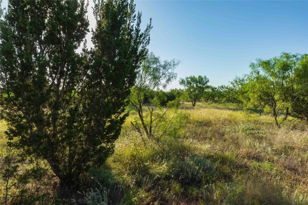US-83 Ovalo, TX 79541