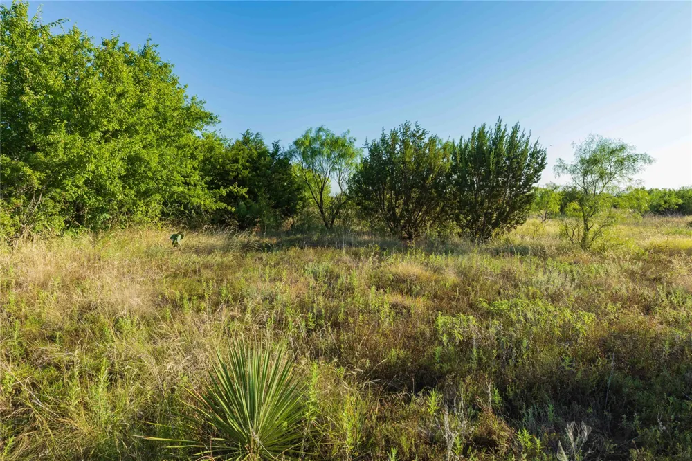 US-83 Ovalo, TX 79541