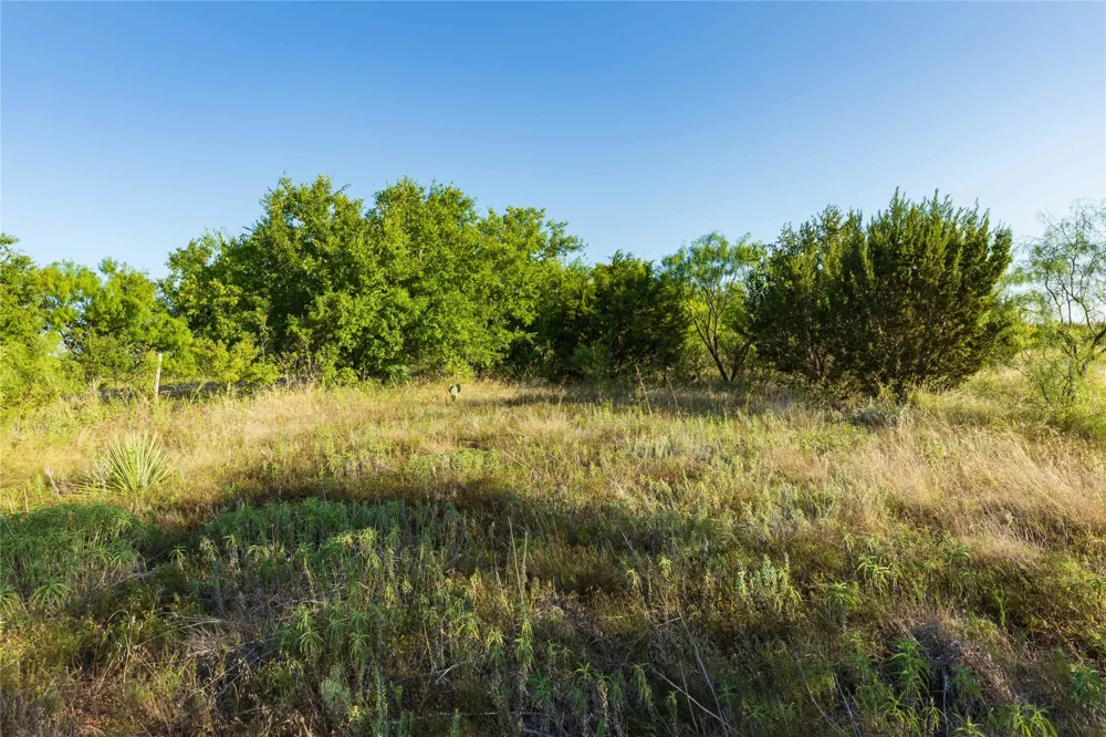 US-83 Ovalo, TX 79541