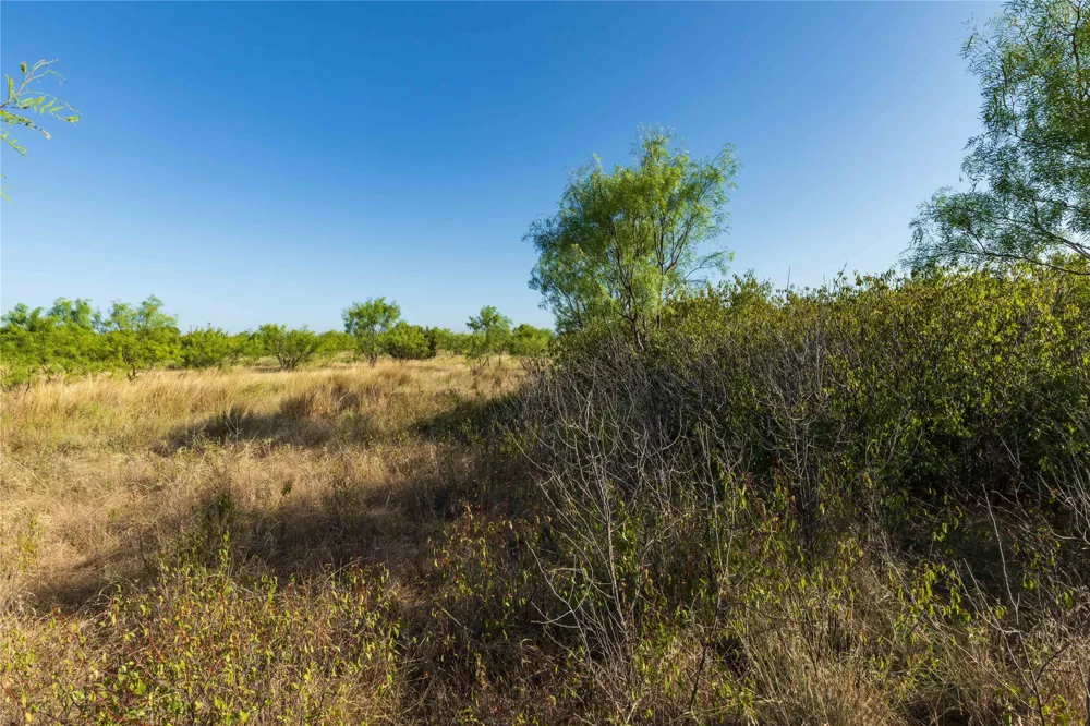 US-83 Ovalo, TX 79541