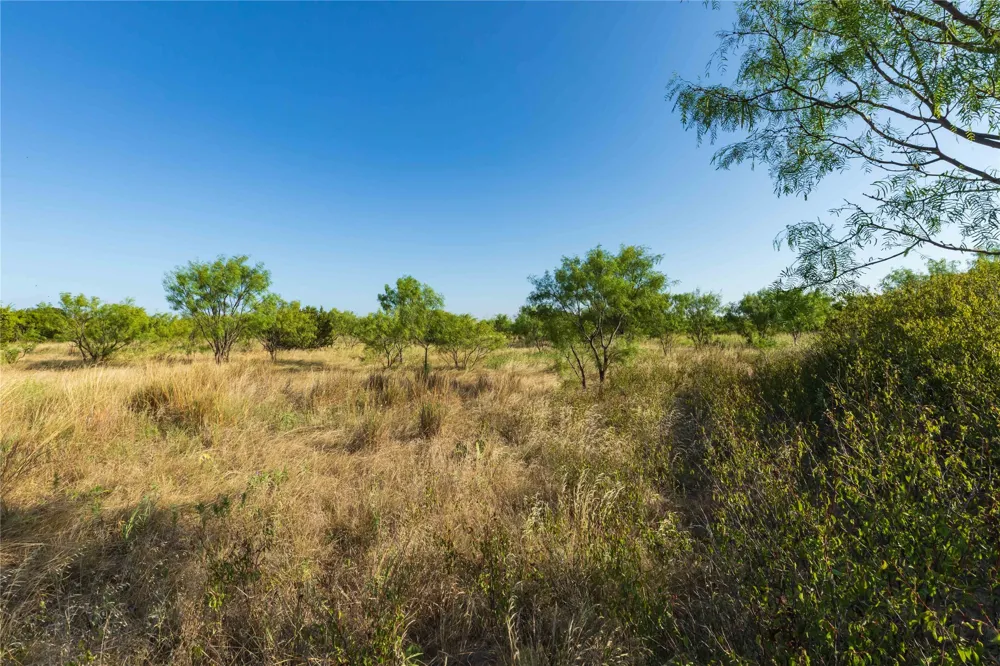 US-83 Ovalo, TX 79541