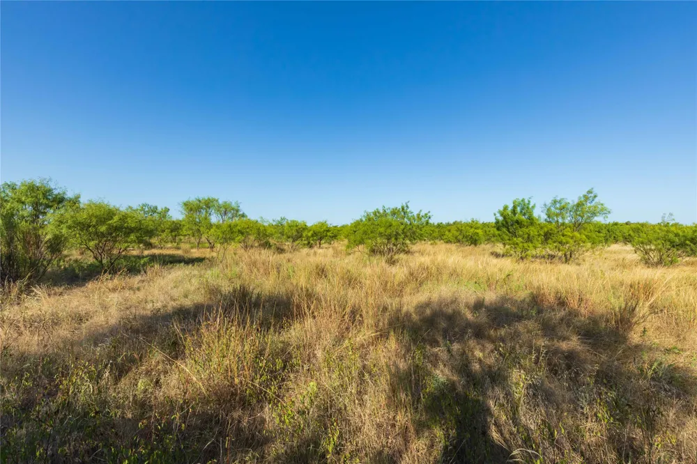 US-83 Ovalo, TX 79541