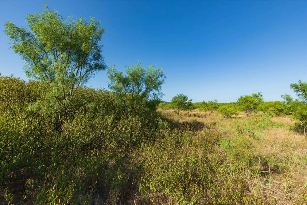 US-83 Ovalo, TX 79541