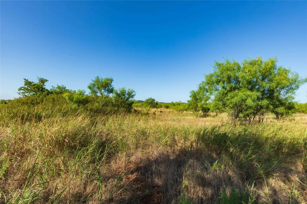 US-83 Ovalo, TX 79541
