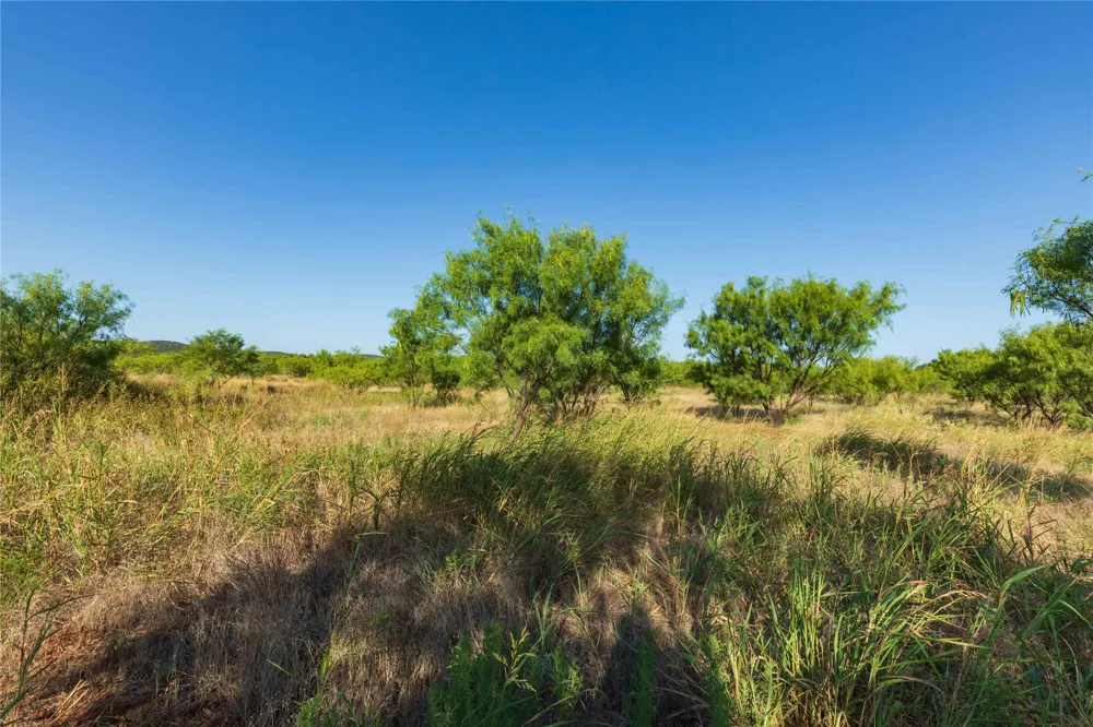 US-83 Ovalo, TX 79541