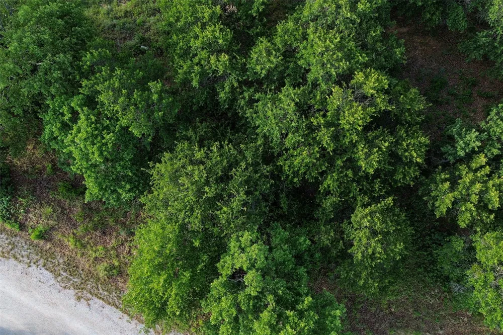 Oakwood Trail Eastland, TX 76448