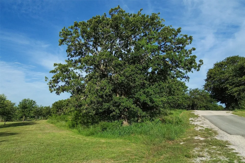 Oakwood Trail Eastland, TX 76448