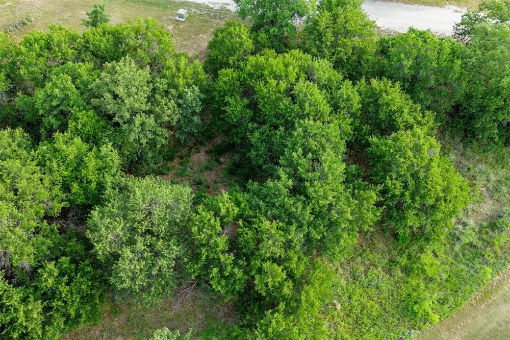 Oakwood Trail Eastland, TX 76448