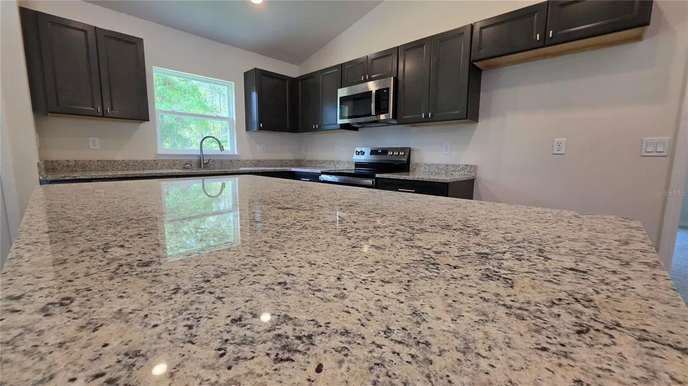 1226 W GALGANO STREET Citrus Springs, FL 34434