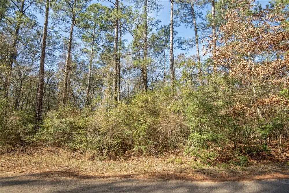13321 Lueders Lane Plantersville, TX 77363