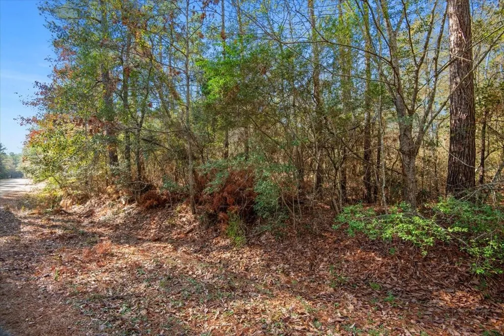 13321 Lueders Lane Plantersville, TX 77363