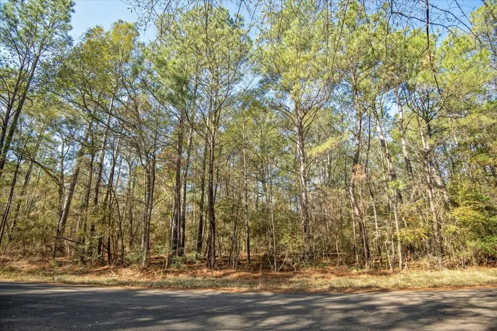 13321 Lueders Lane Plantersville, TX 77363