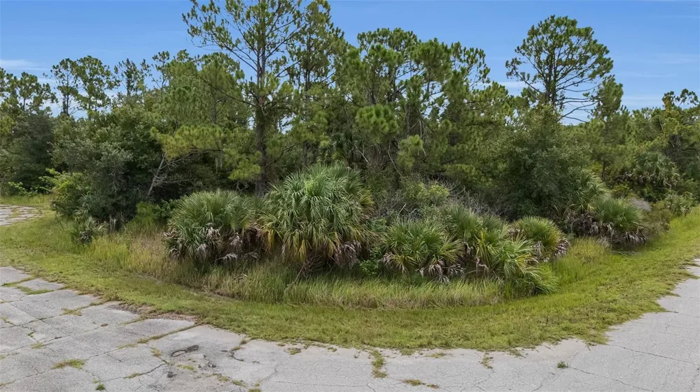 PILLOW CT North Port, FL 34288