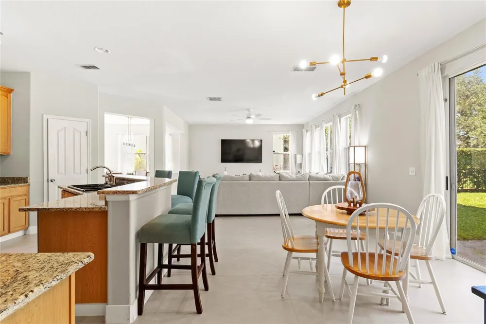 5045 BALLARK STREET Mount Dora, FL 32757