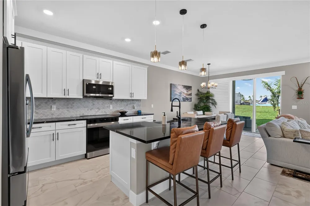31950 ANCHOR POINT DRIVE Wesley Chapel, FL 33545