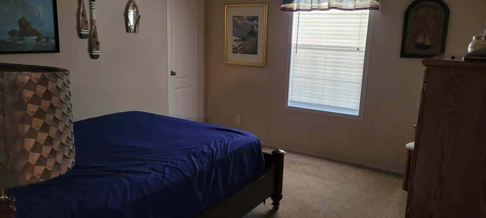 7309 White Swan Lane Hamlin Township, MI 49431