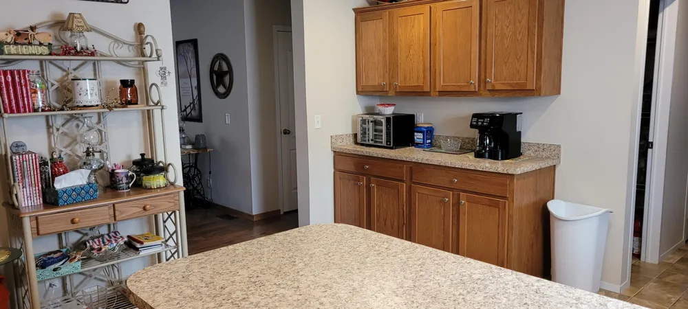 7309 White Swan Lane Hamlin Township, MI 49431