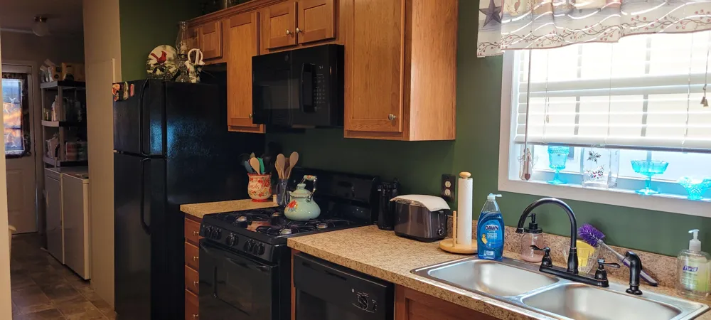 7309 White Swan Lane Hamlin Township, MI 49431