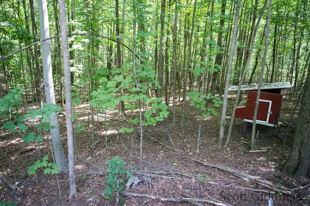 3750 Hillman Road Douglass Township, MI 48850