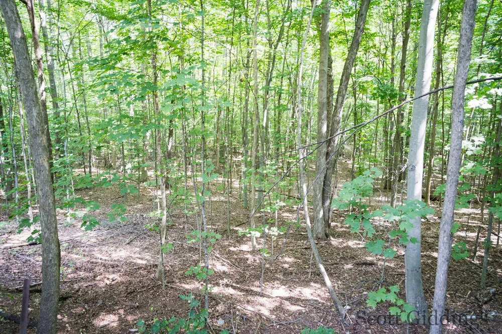 3750 Hillman Road Douglass Township, MI 48850