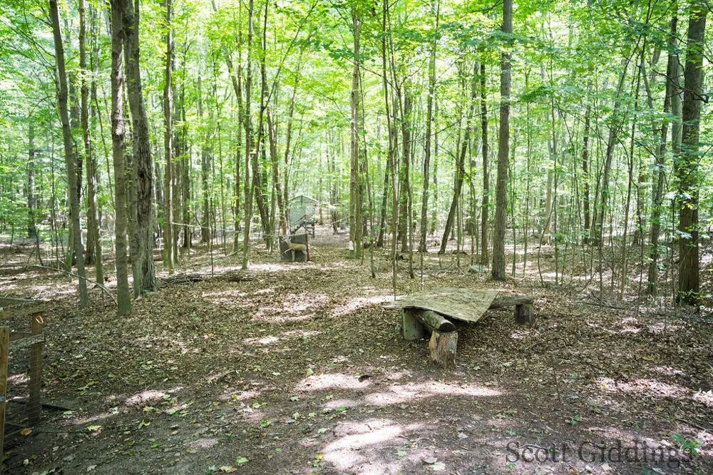 3750 Hillman Road Douglass Township, MI 48850