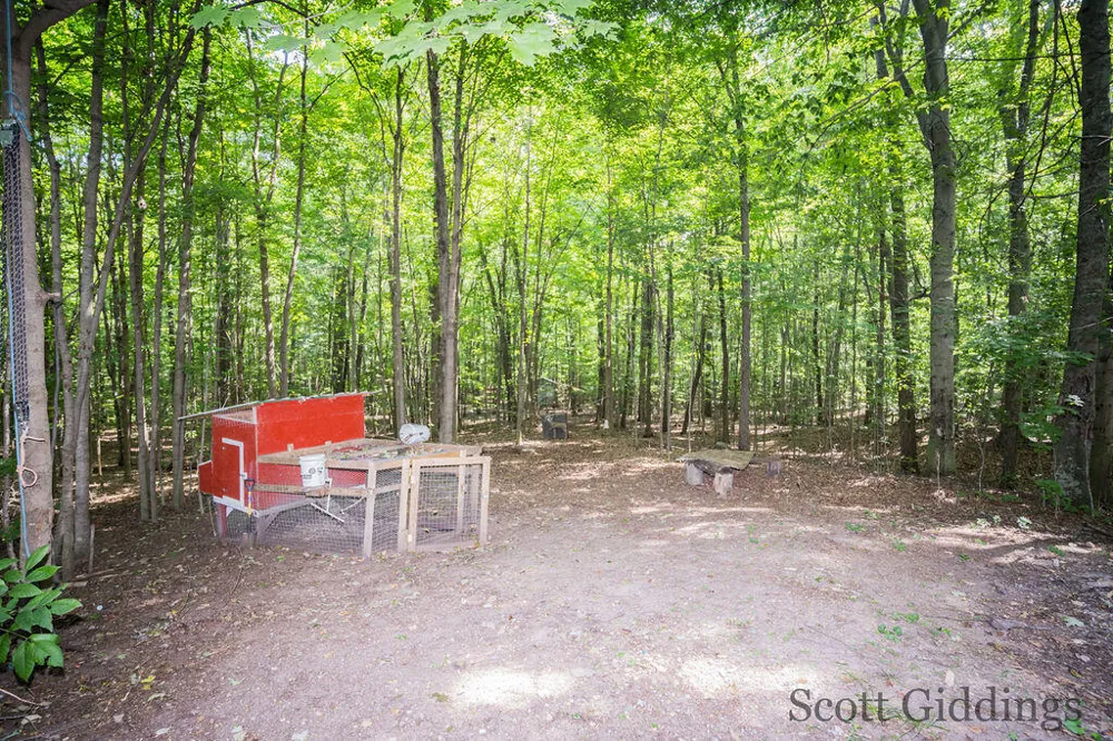 3750 Hillman Road Douglass Township, MI 48850