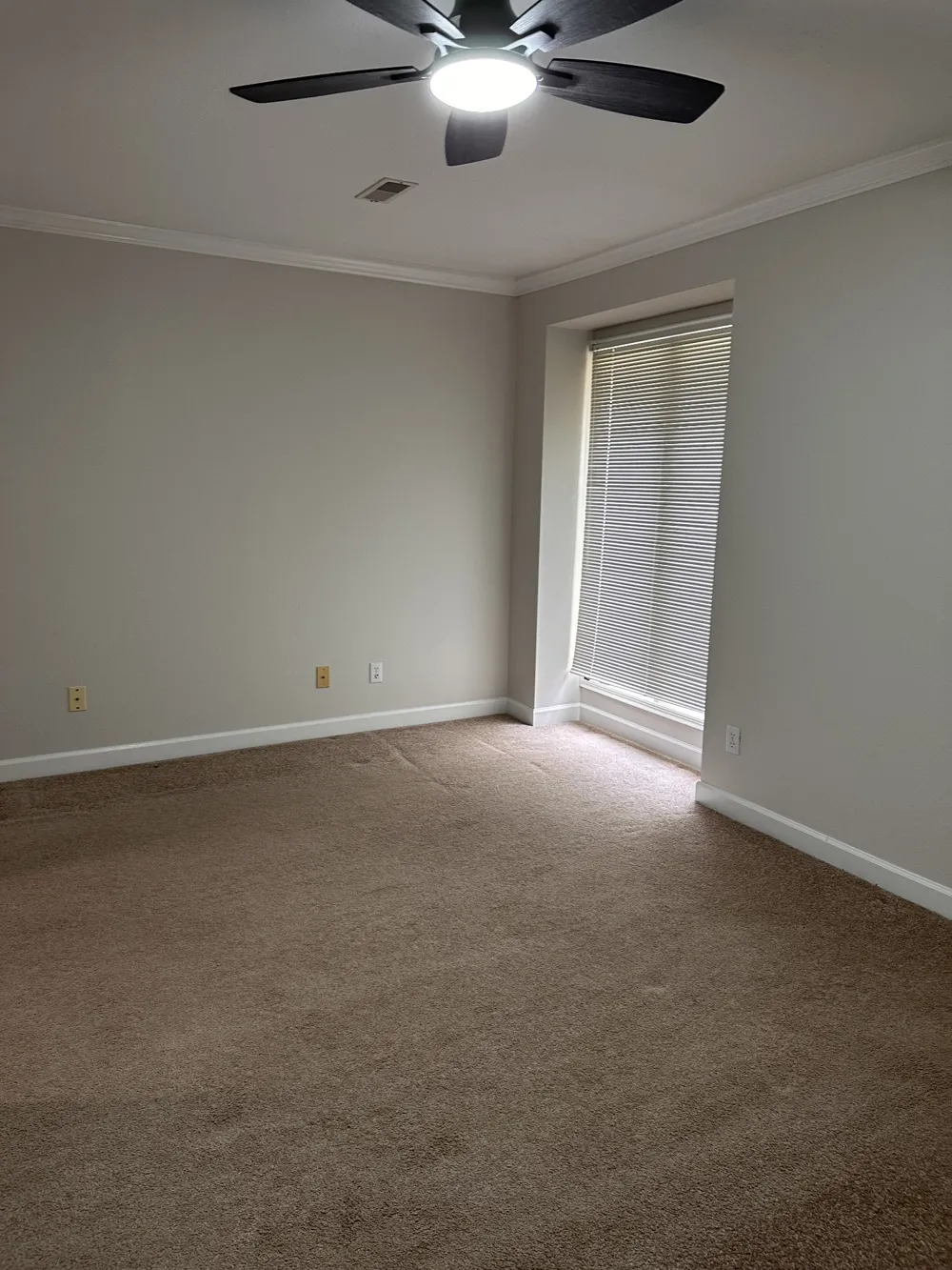 306 W Colville St #A McMinnville, TN 37110