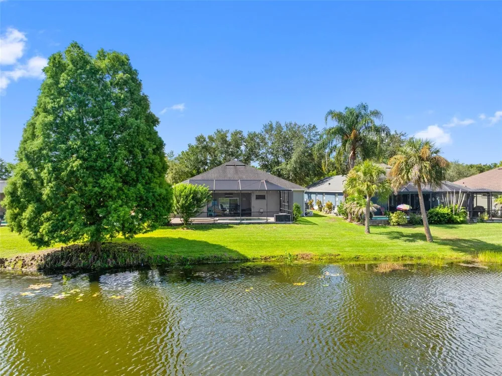 11916 SUMMER SPRINGS DRIVE Riverview, FL 33579