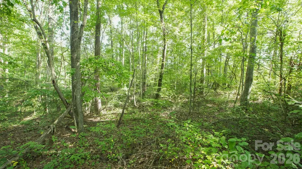 0 Beargrass Lane Sherrills Ford, NC 28673