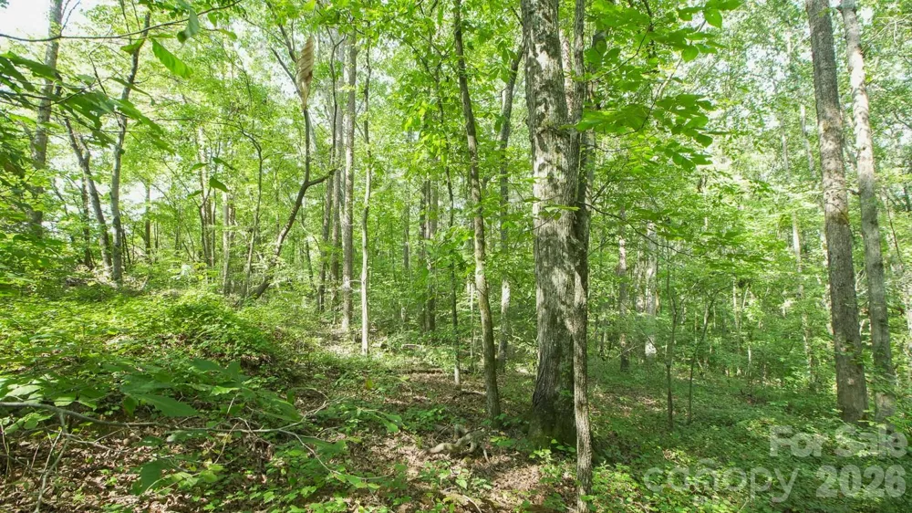 0 Beargrass Lane Sherrills Ford, NC 28673