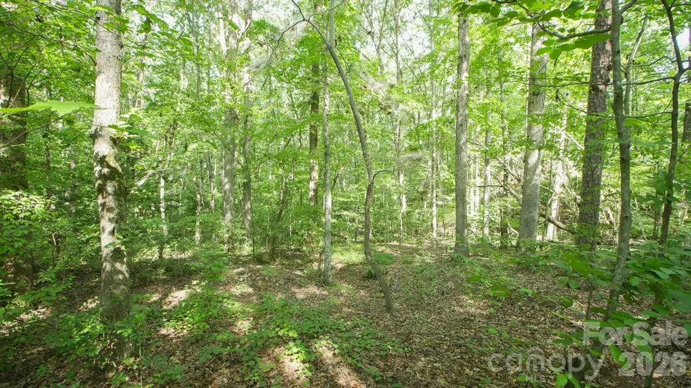 0 Beargrass Lane Sherrills Ford, NC 28673